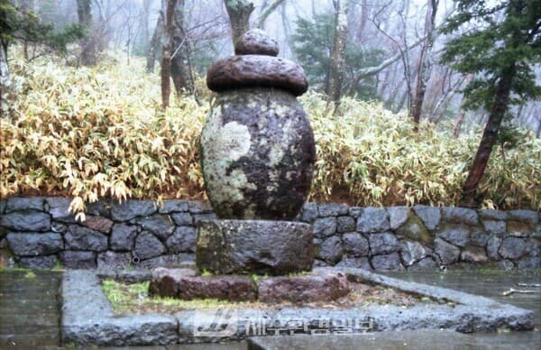 知識の宝庫: 韓国の新しい視点から見る韓国の文化