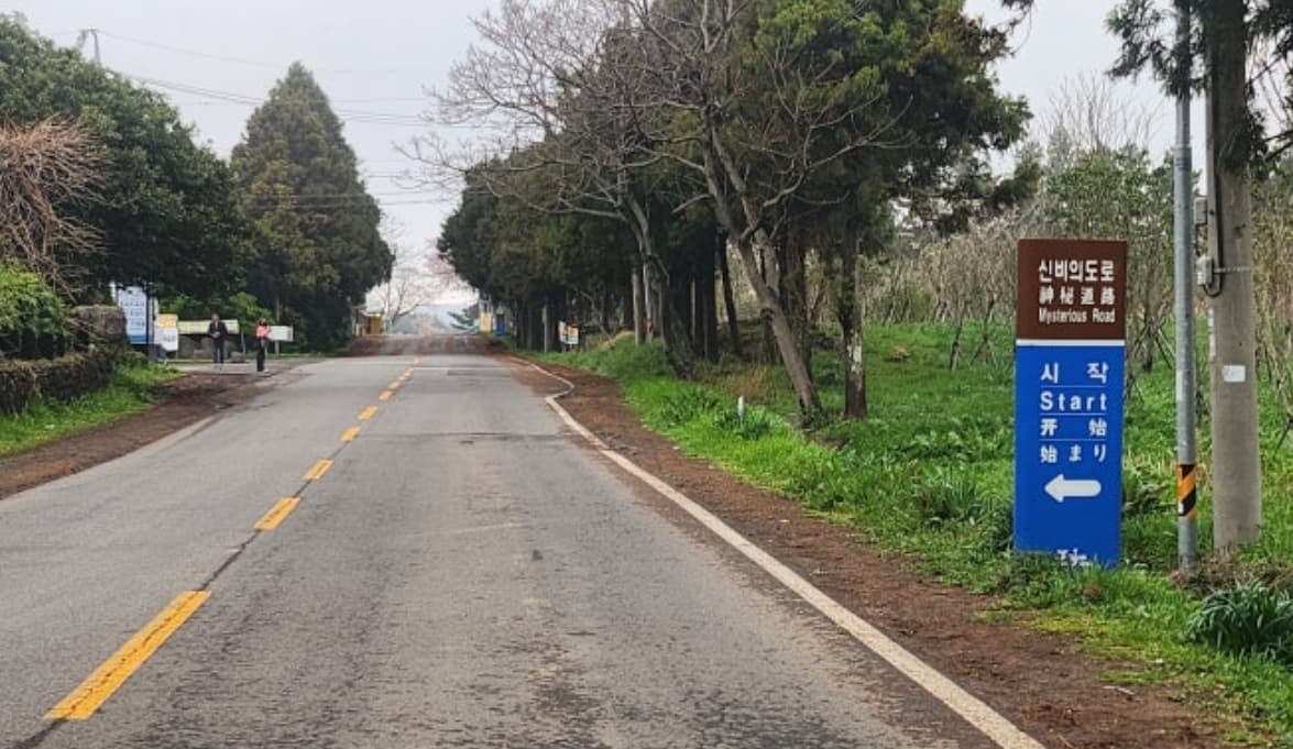 不思議な道、神秘の島・済州の魅力を探る